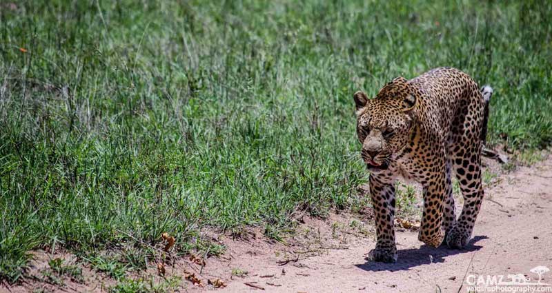 maxabeni-cam-umkumbe