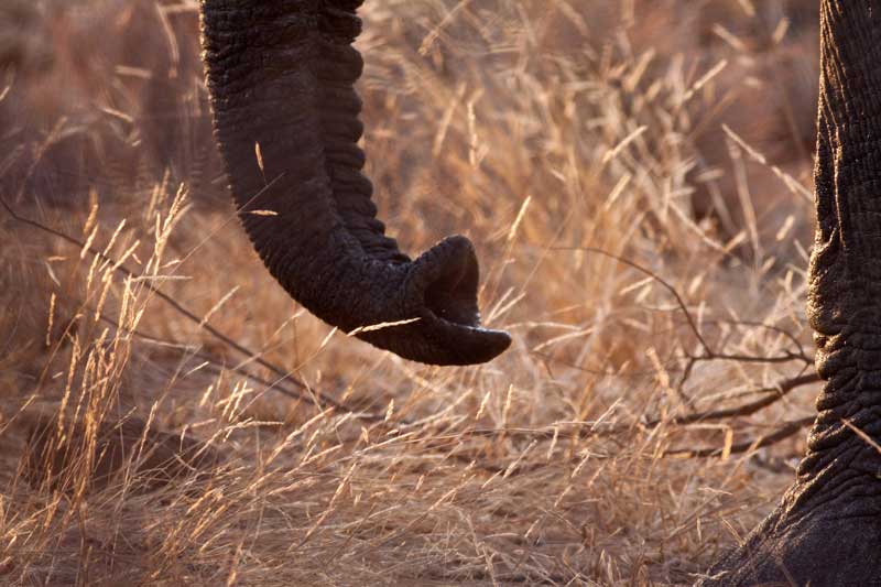 Image by Jochen Van de Perre