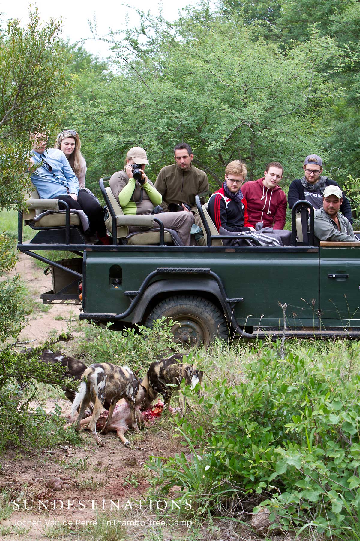 Game drive at nThambo Tree Camp