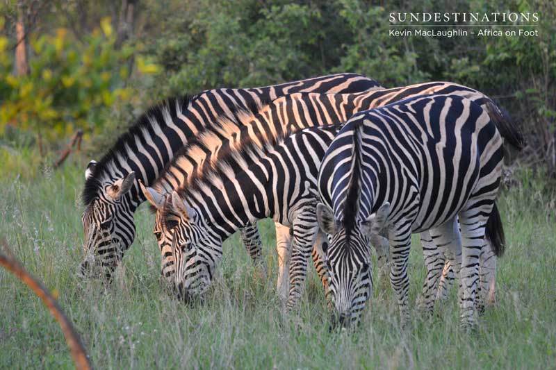 Here comes the sun...