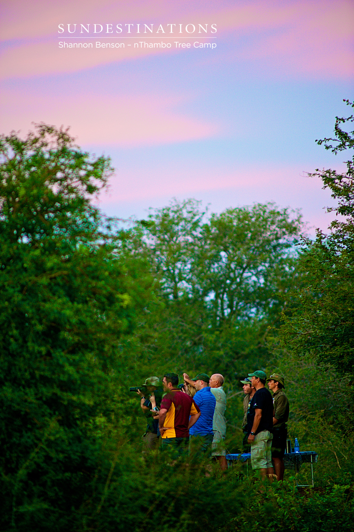Guests Tracking Elephants