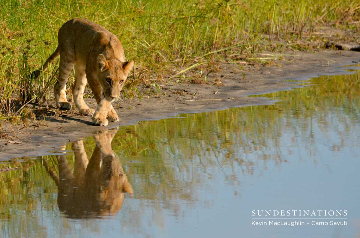Inspecting the reflection