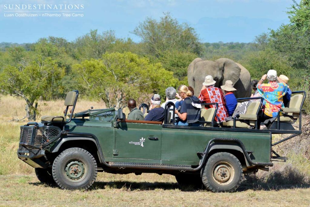 Elephants in the open area in front of nThambo Tree Camp Elephants in the open area in front of nThambo Tree Camp