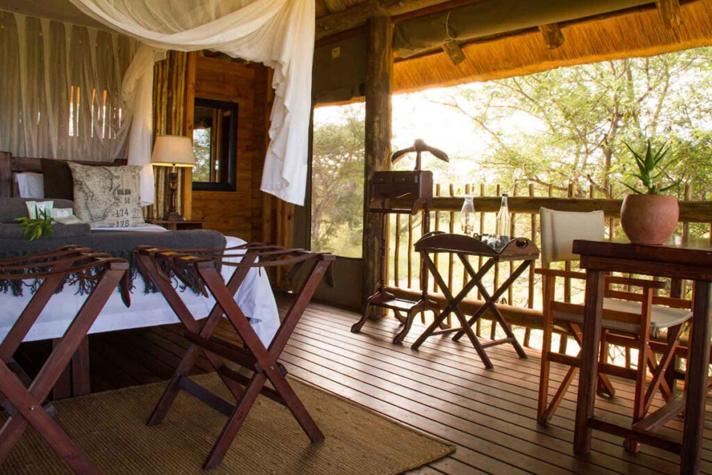 nThambo nominated for Safari Awards nThambo nominated for Safari Awards