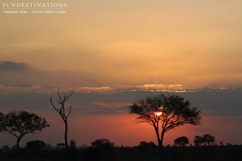 A burning sunset on the nDzuti horizon