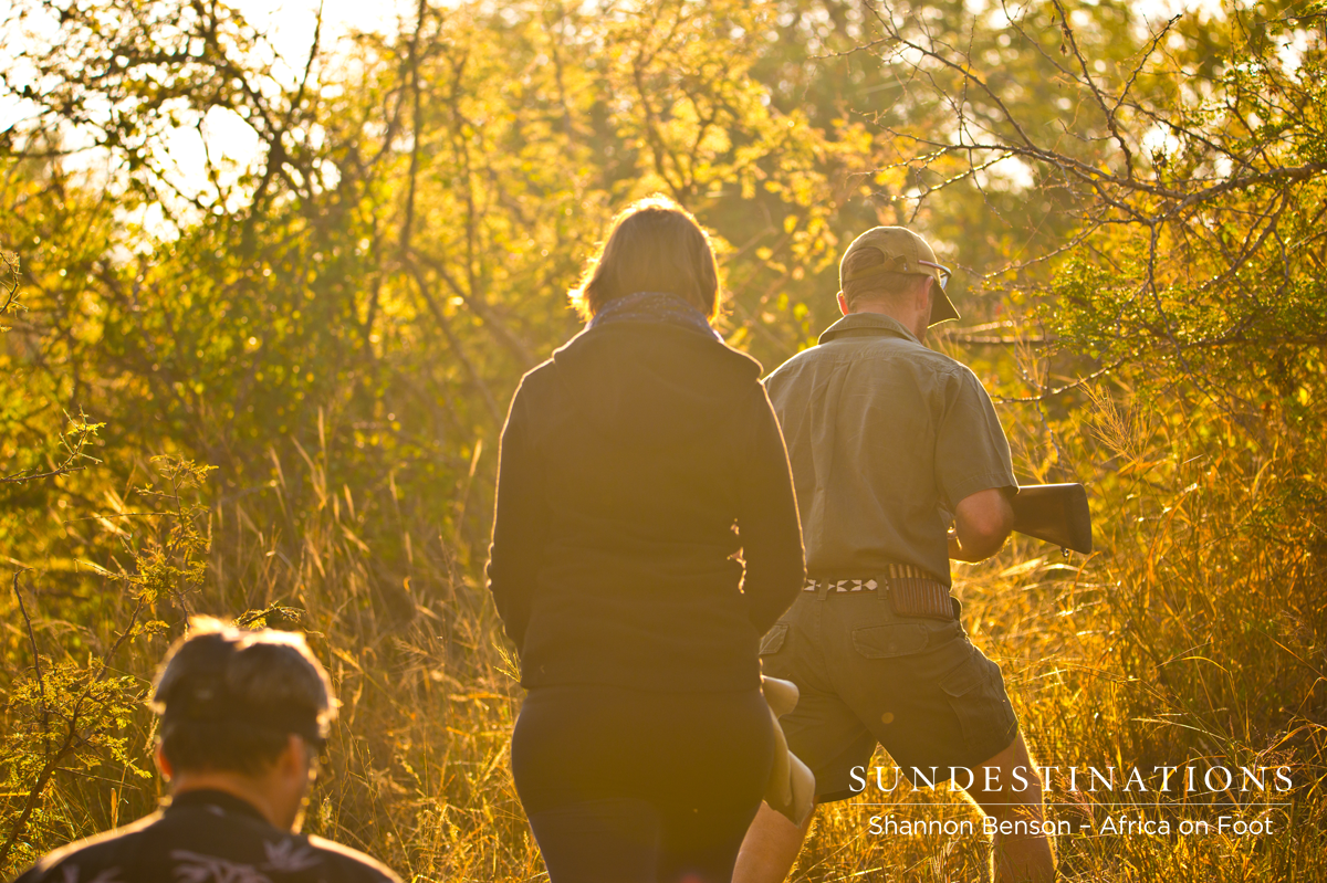 Walking safari at Africa on Foot