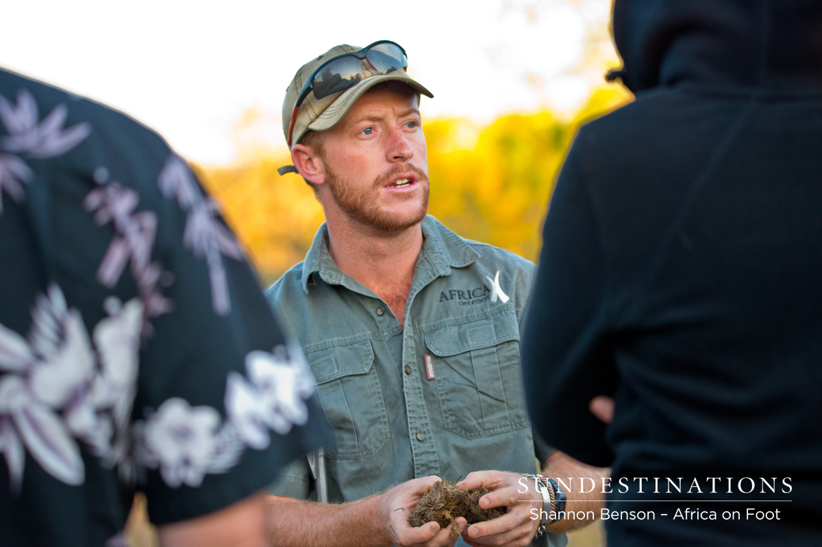 Greag, from Africa on Foot, teaches guests about how to read animal dung