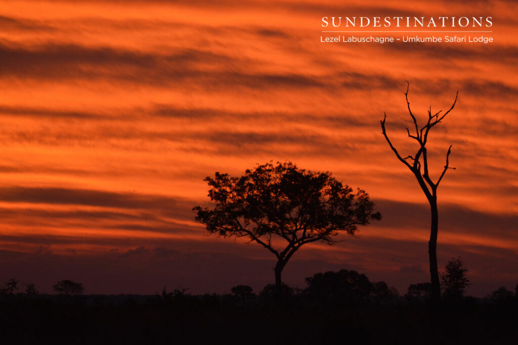 Kruger Sunset
