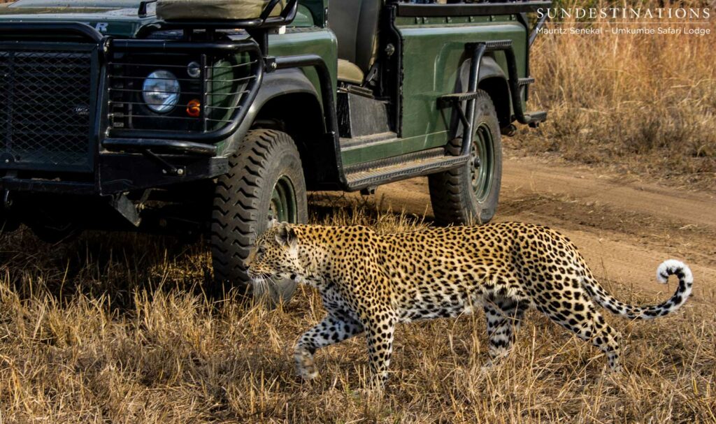 White Dam in front of Umkumbe's vehicle