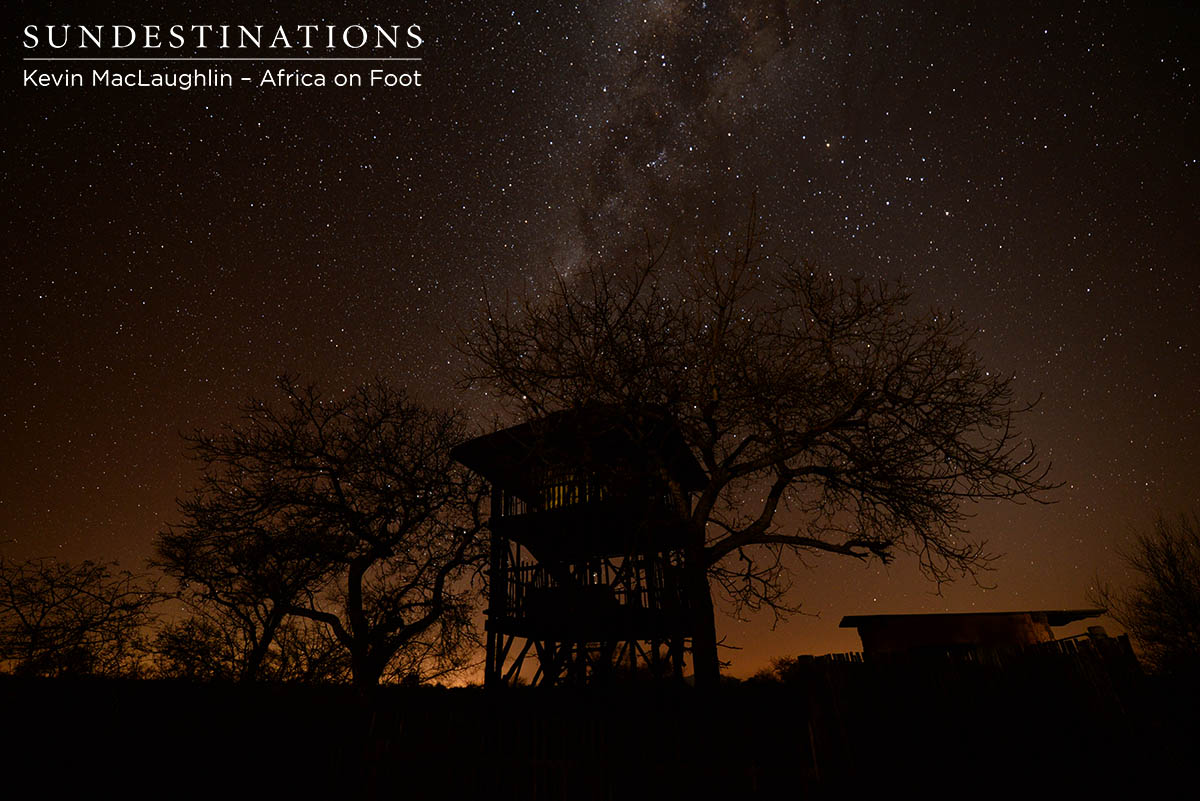 AOF Treehouse Starlight