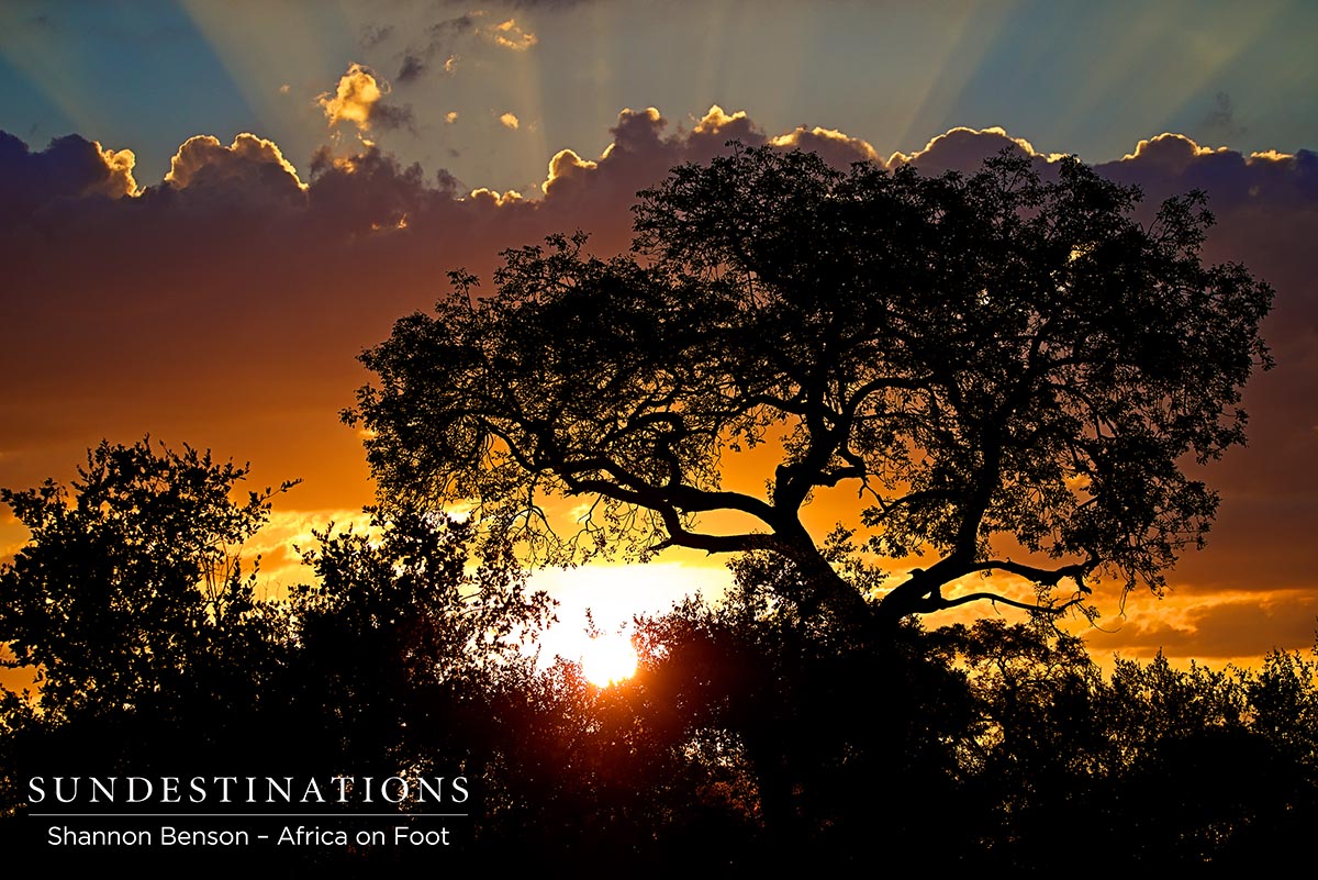 Klaserie Sunset, South Africa