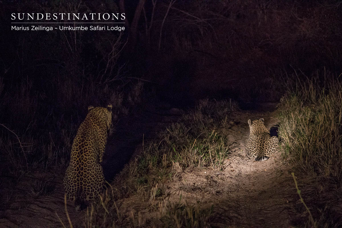 Mxabene & Warthog Wallow