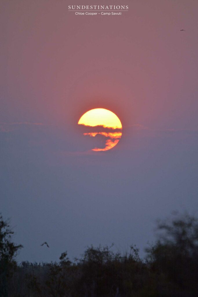 Sunset in Savuti Sunset in Savuti