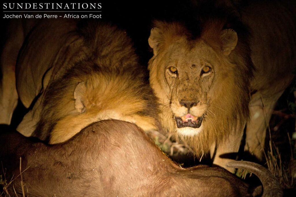 2 Trilogy brothers feasting