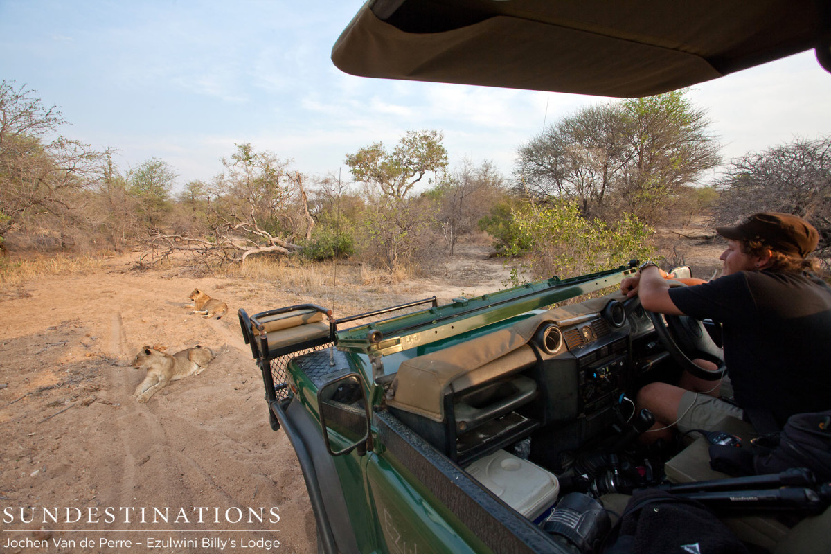 Olifants West Pride with Game Viewer Olifants West Pride with Game Viewer