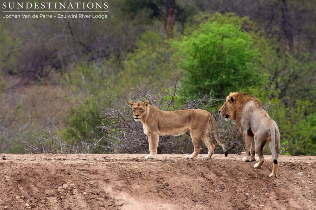 Climbing the dam wall Climbing the dam wall