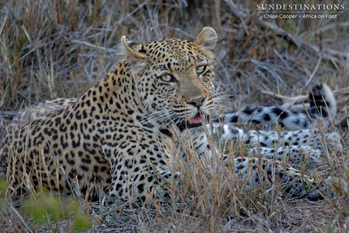 Rhulani Portrait
