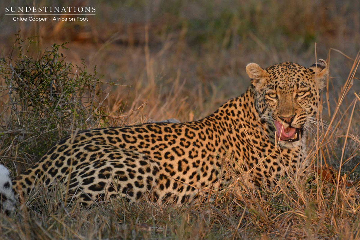 Rhulani posing in good light. 