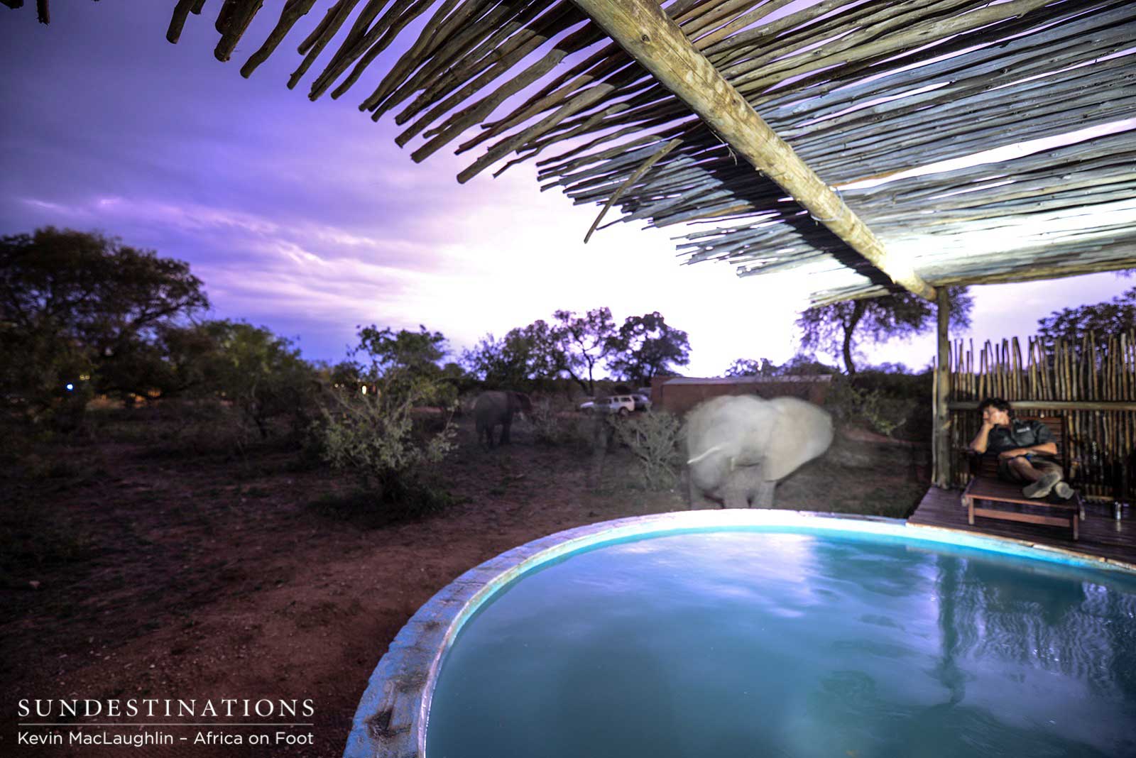 Elephants - Africa on Foot