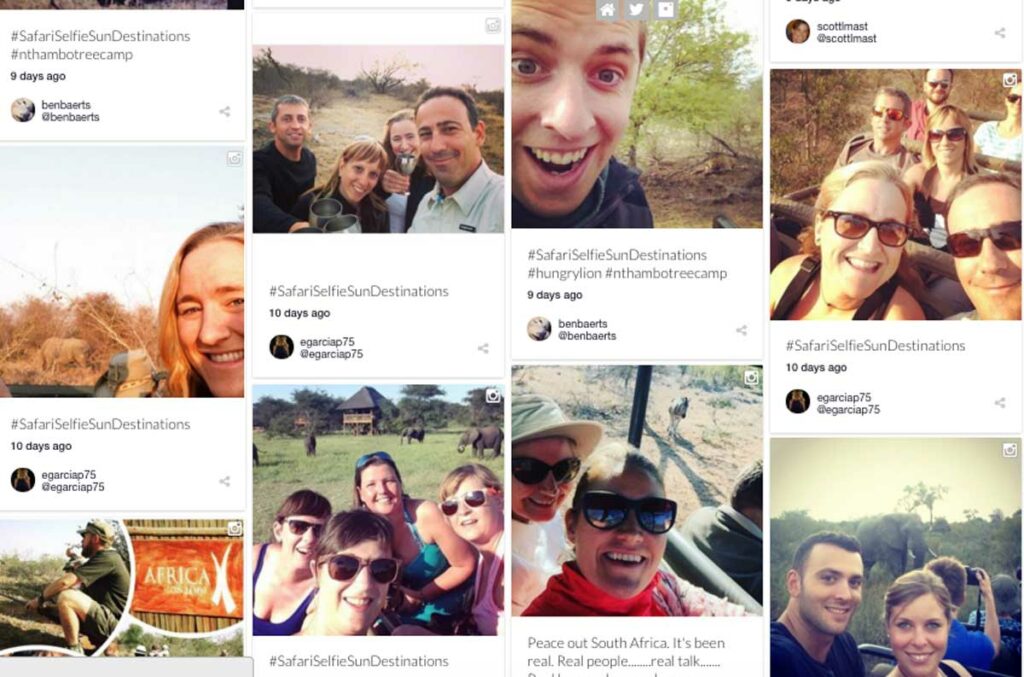 #SafariSelfieSunDestinations