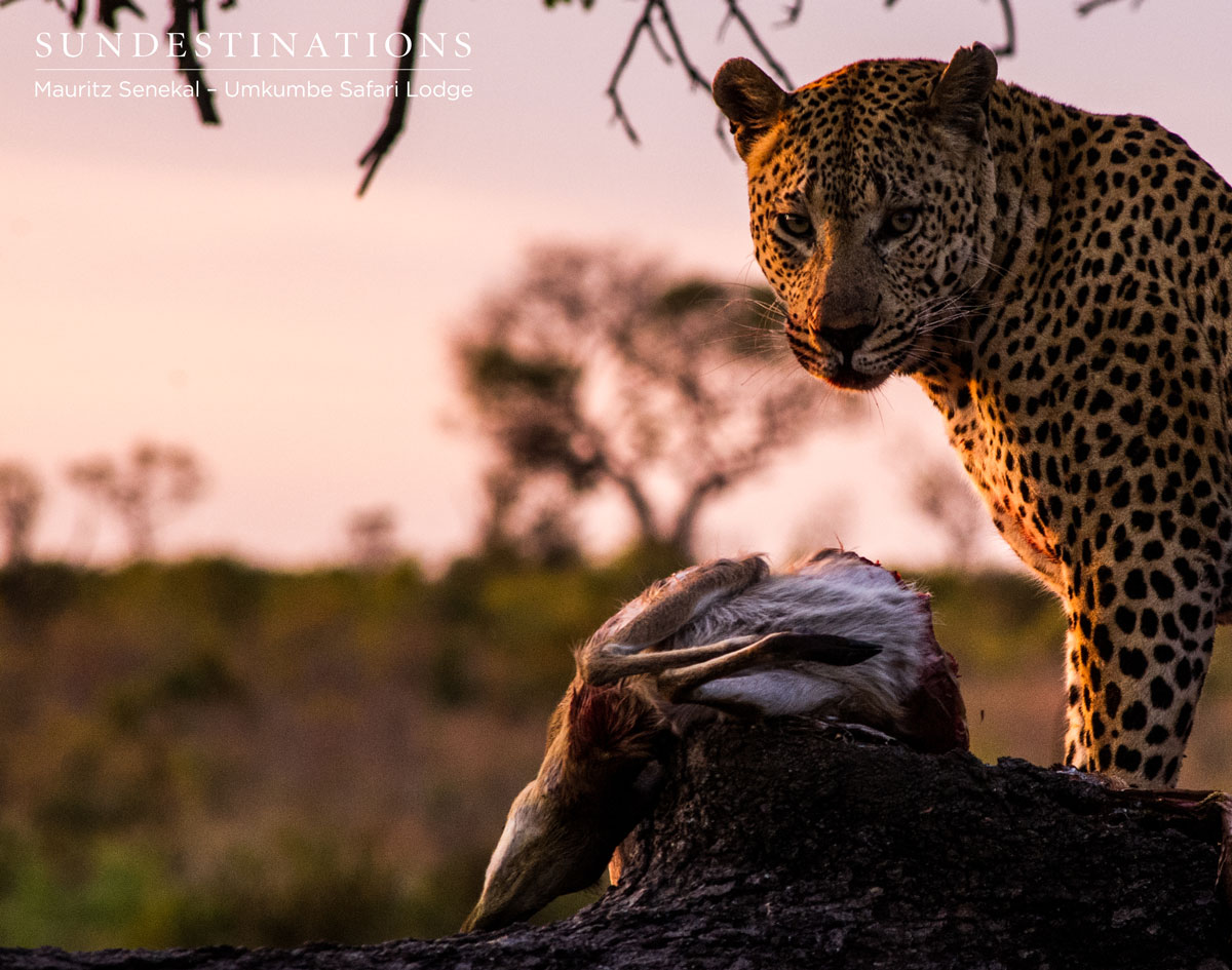 Mxabene with Kill