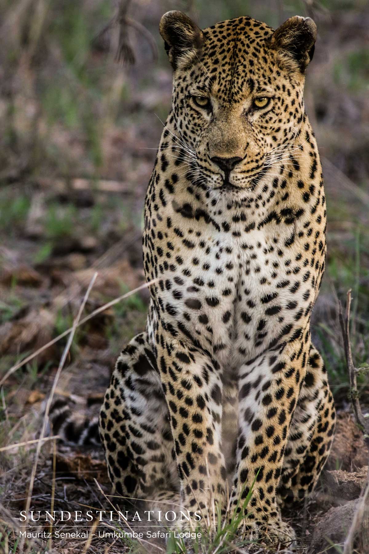 Mxabene waits for Warthog