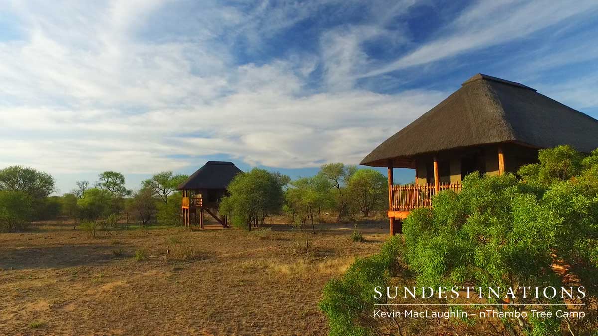 nThambo Tree Camp
