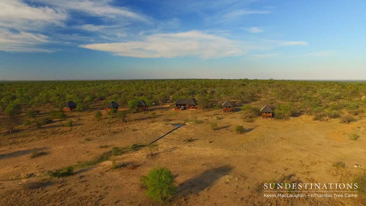 nThambo Tree Camp
