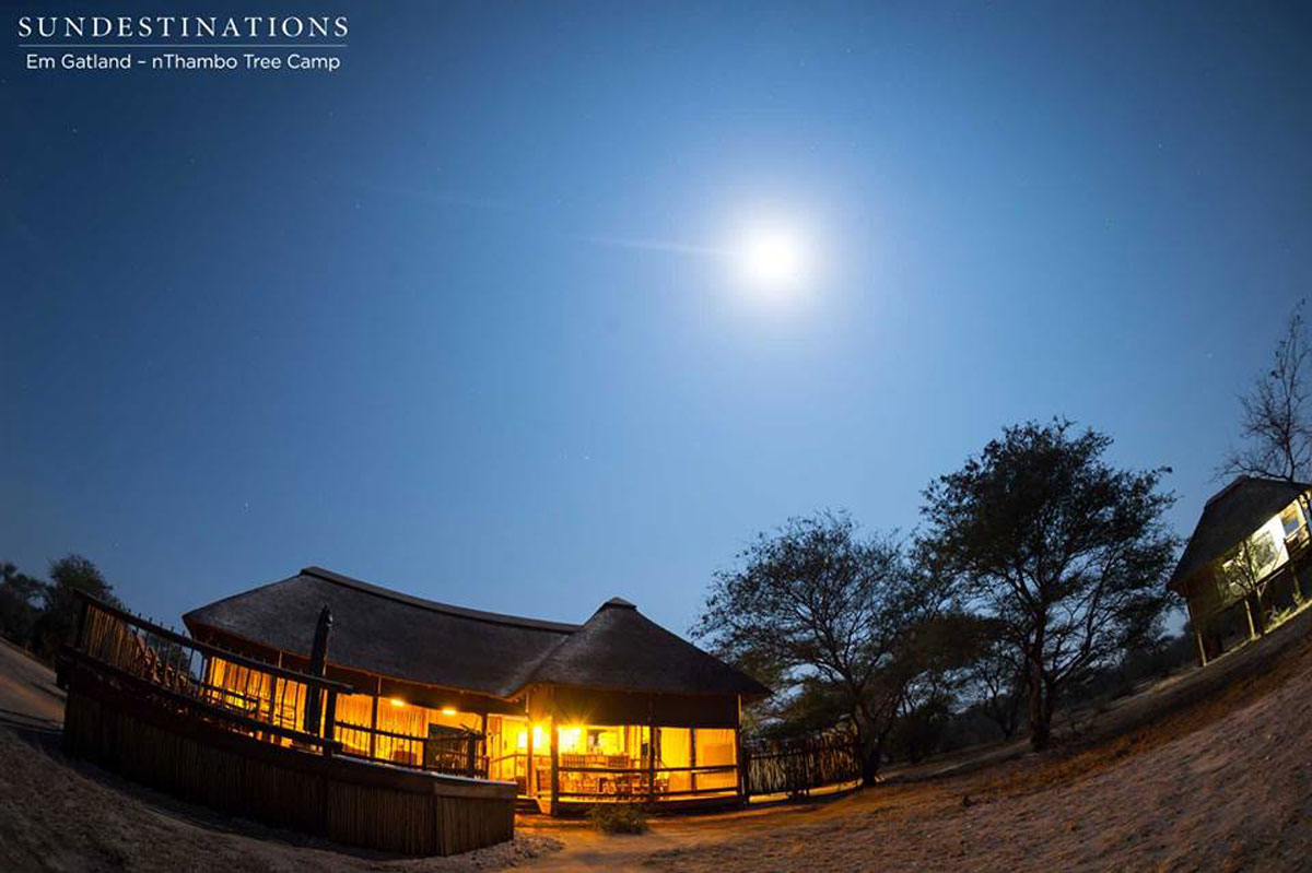 nThambo Tree Camp