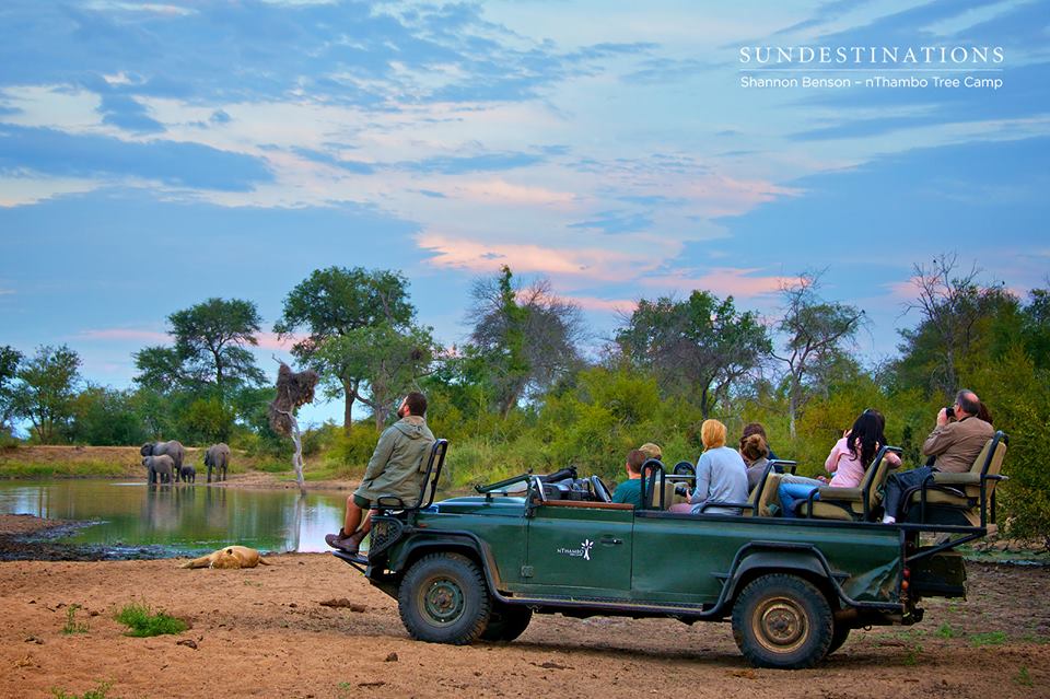 Matt with guests from nThambo Tree Camp