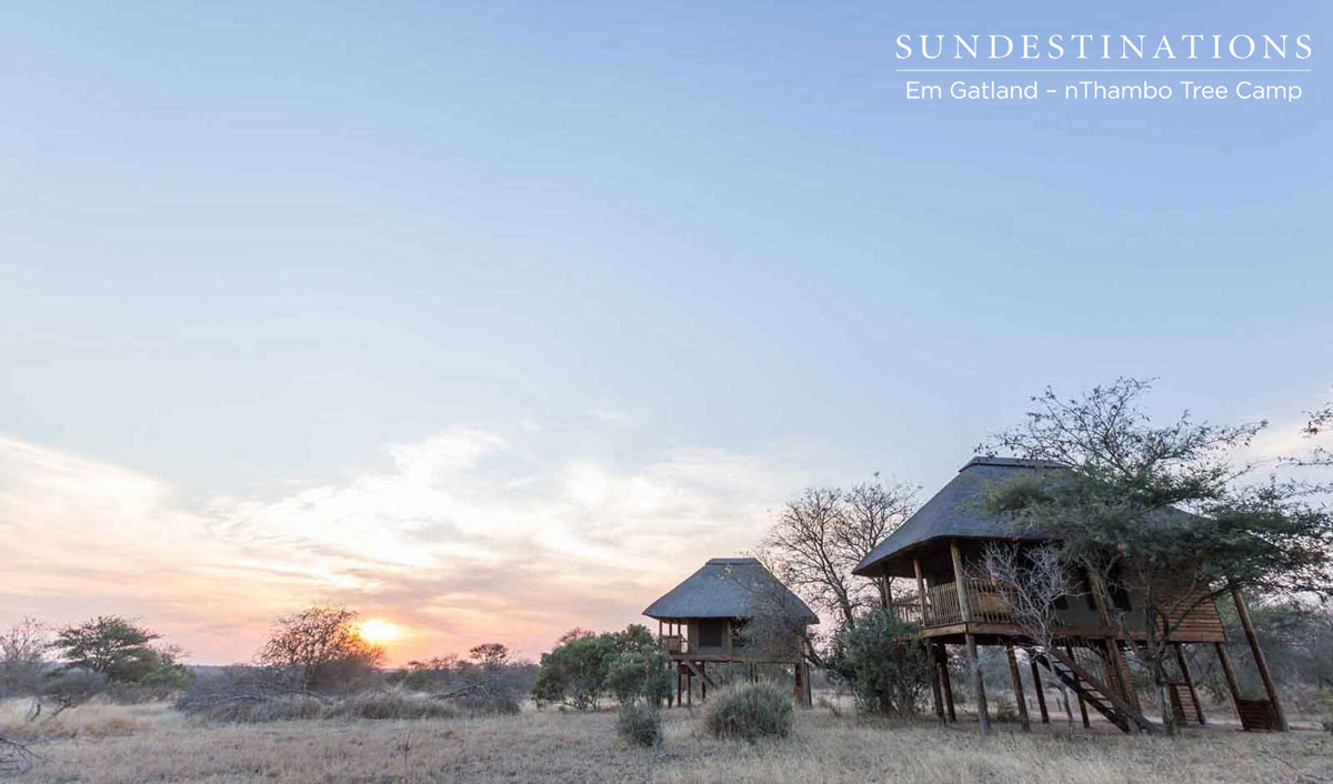 Treehouse chalets