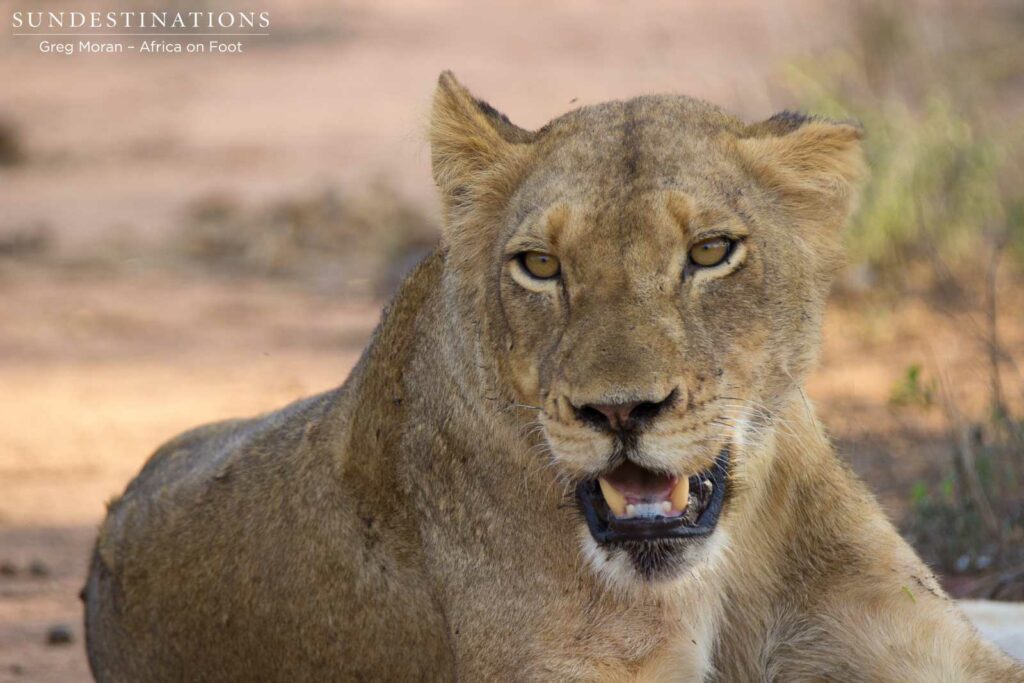 East Block Pride East Block Pride