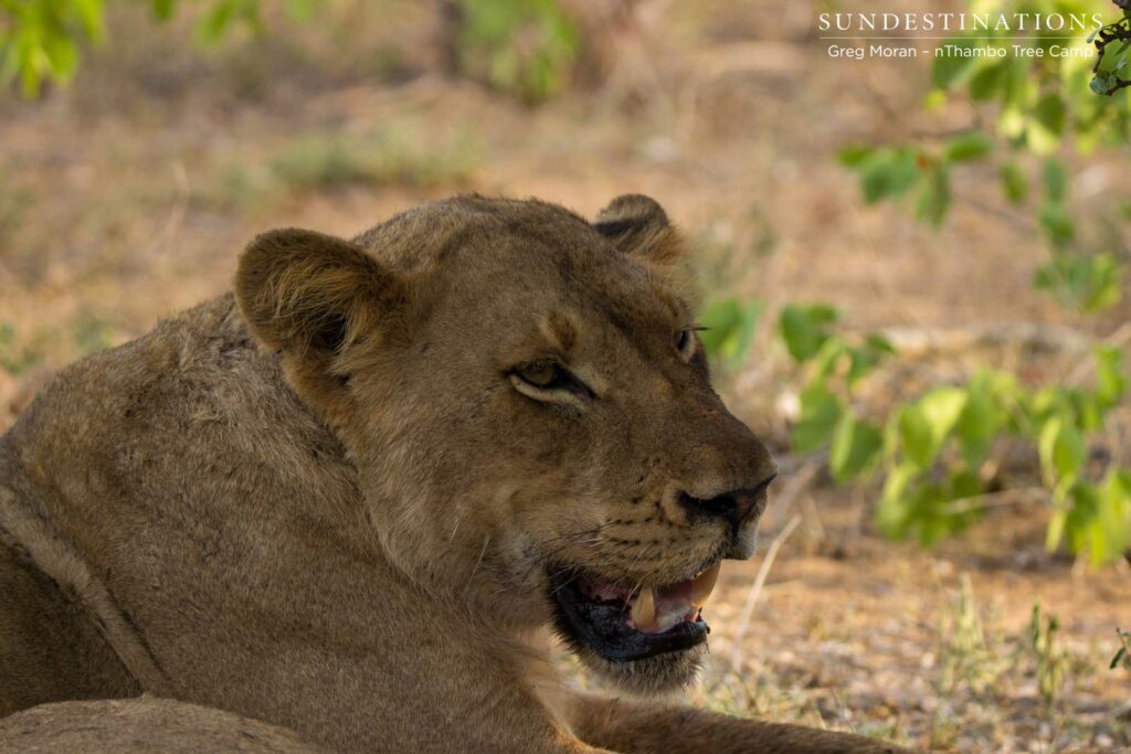 East Block Pride East Block Pride