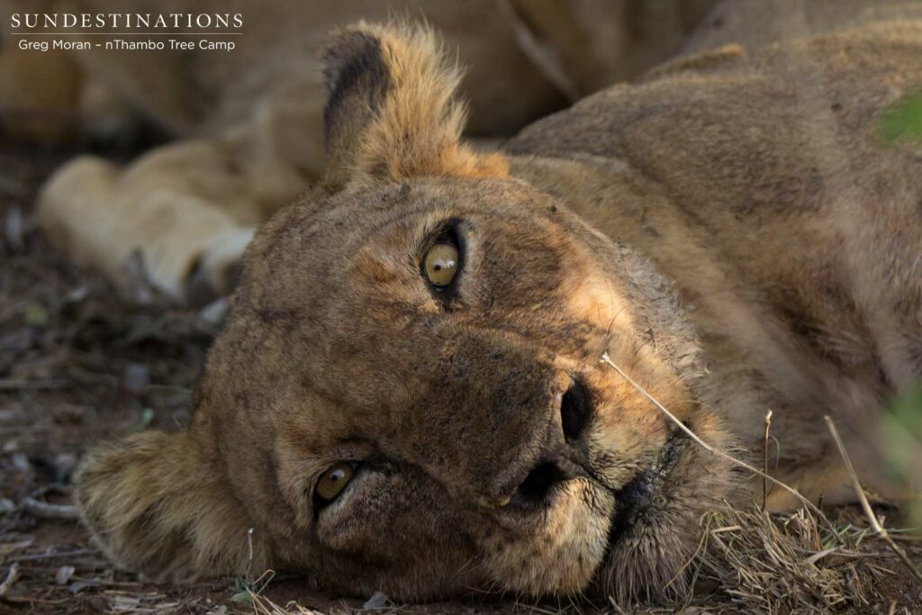 East Block Pride East Block Pride