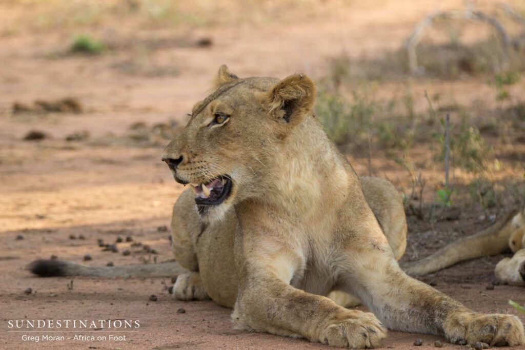 East Block Pride East Block Pride