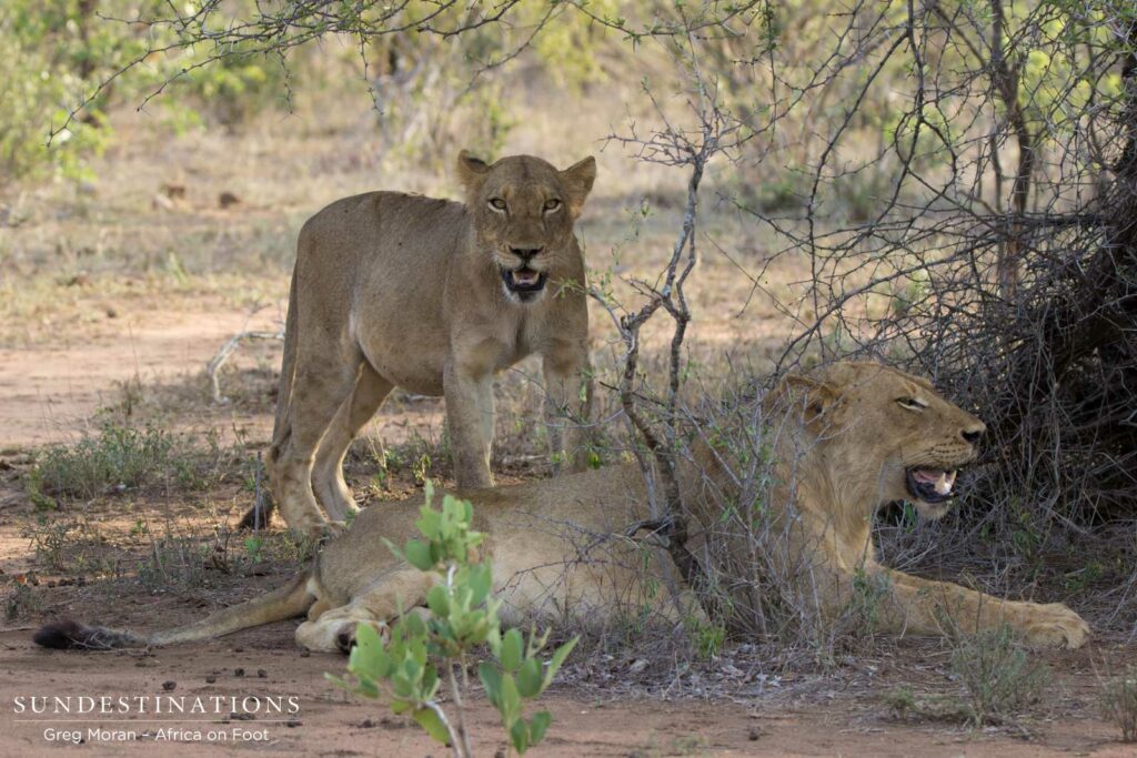 East Block Pride East Block Pride