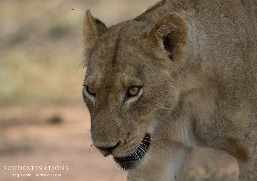 East Block Pride East Block Pride