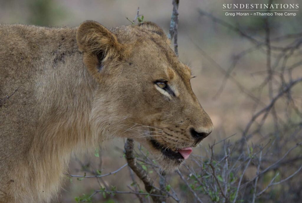 East Block Pride East Block Pride