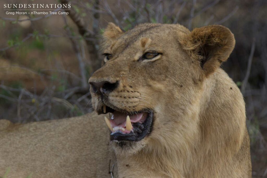 East Block Pride East Block Pride