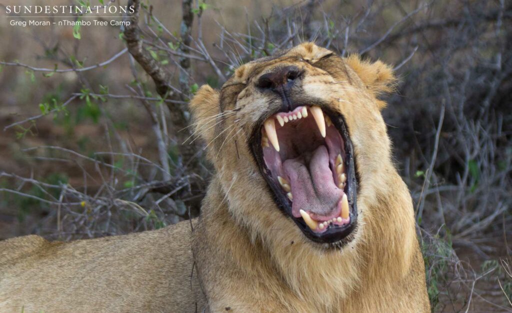 East Block Pride East Block Pride