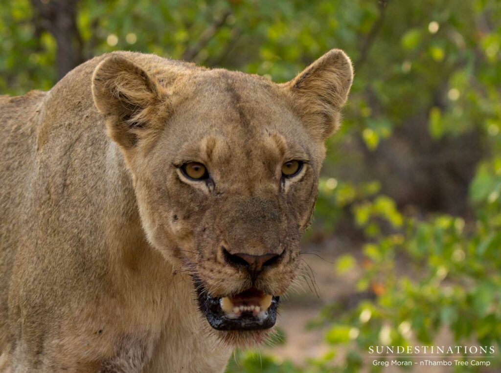 East Block Pride East Block Pride