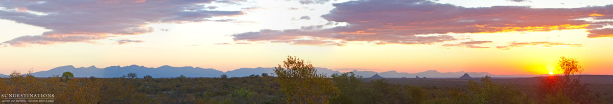 Skyline - Balule Nature Reserve Skyline - Balule Nature Reserve