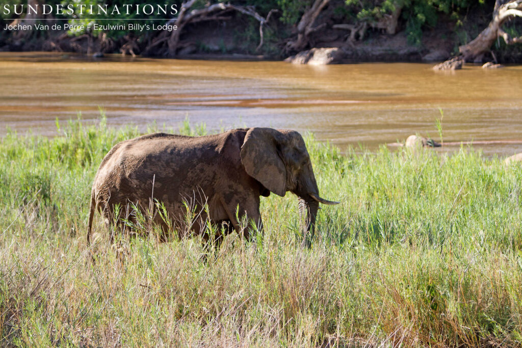 Ambling along the Olifants River Ambling along the Olifants River