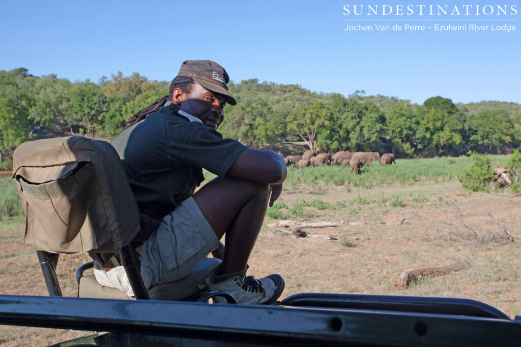 Tracker and the elephants Tracker and the elephants