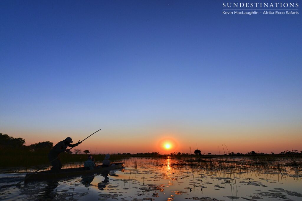 Taking a mokoro into the sunset with Afrika Ecco Safaris Taking a mokoro into the sunset with Afrika Ecco Safaris