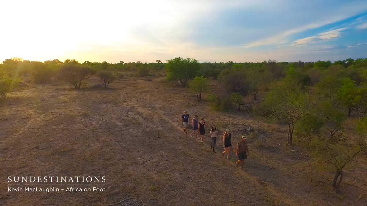 Guests on the Move at Africa on Foot Guests on the Move at Africa on Foot