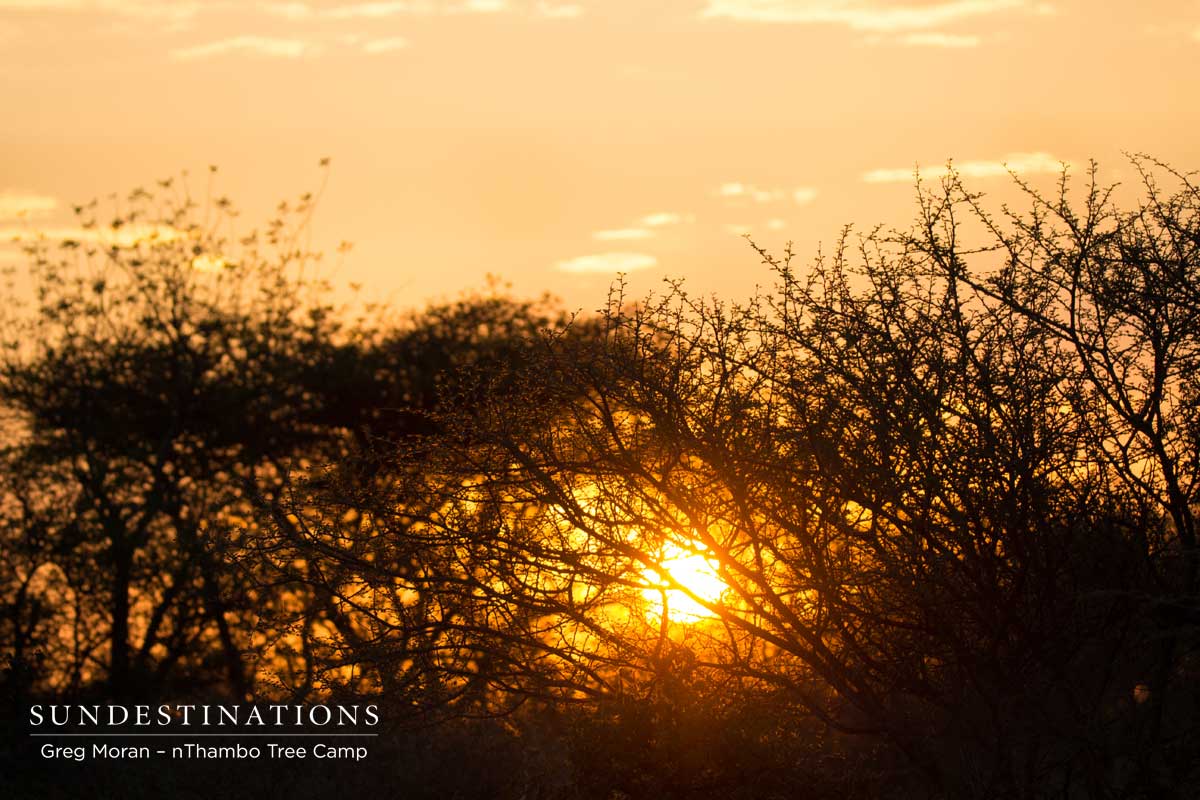 nThambo Sunset