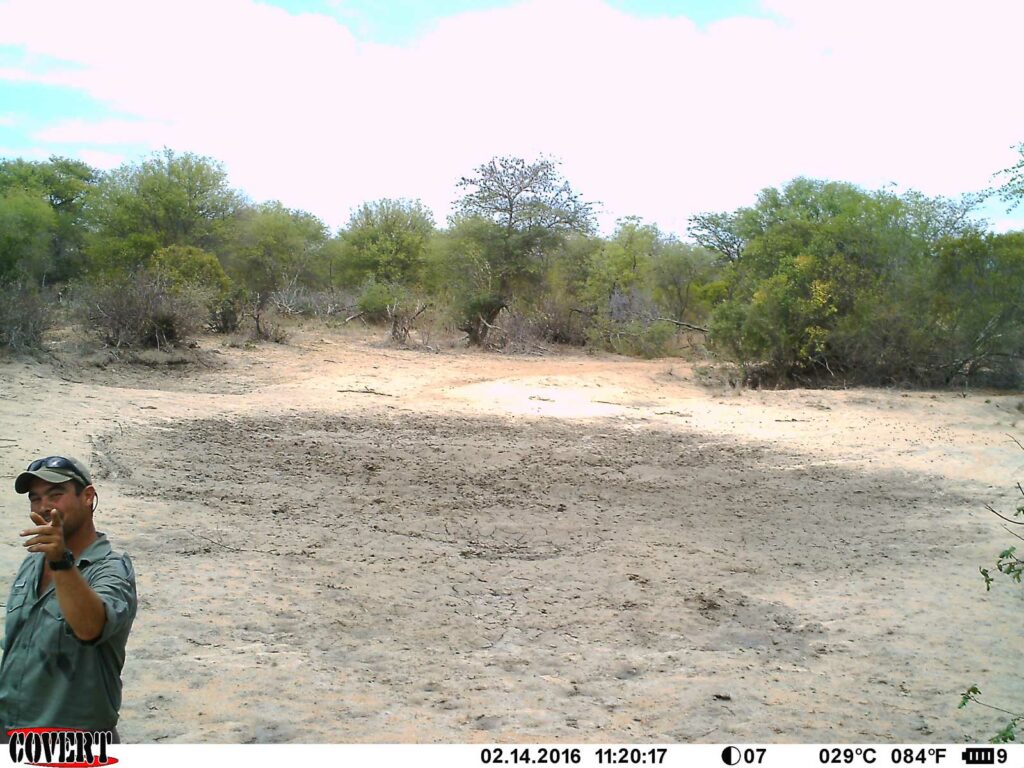 Luan, nThambo ranger, gives the camera a bit of attitude! Luan, nThambo ranger, gives the camera a bit of attitude!