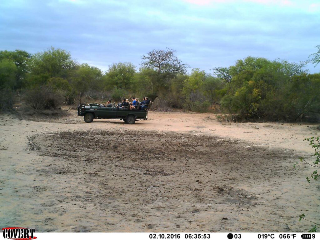 nThambo Tree Camp make an appearance at the pan, but no luck this time! nThambo Tree Camp make an appearance at the pan, but no luck this time!