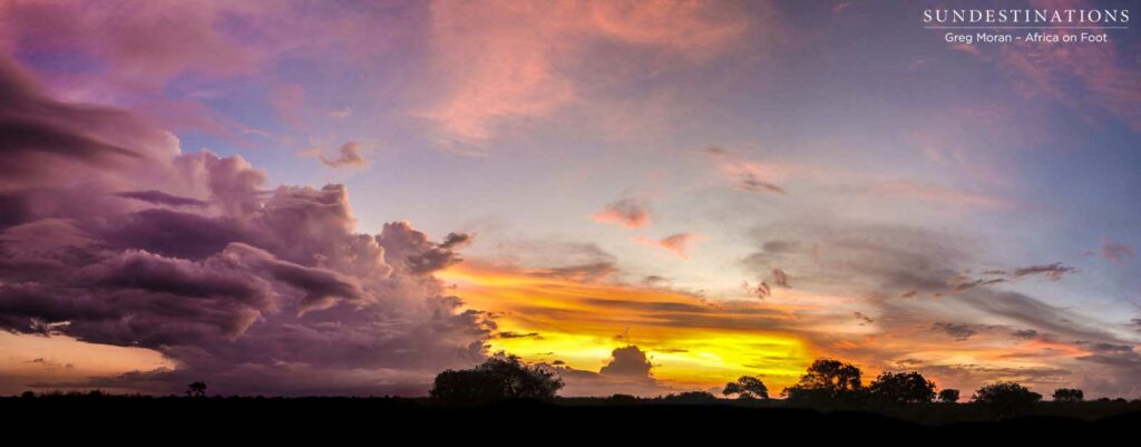 A panoramic explosion of light during a sundowners stop on game drive with Africa on Foot. A panoramic explosion of light during a sundowners stop on game drive with Africa on Foot.
